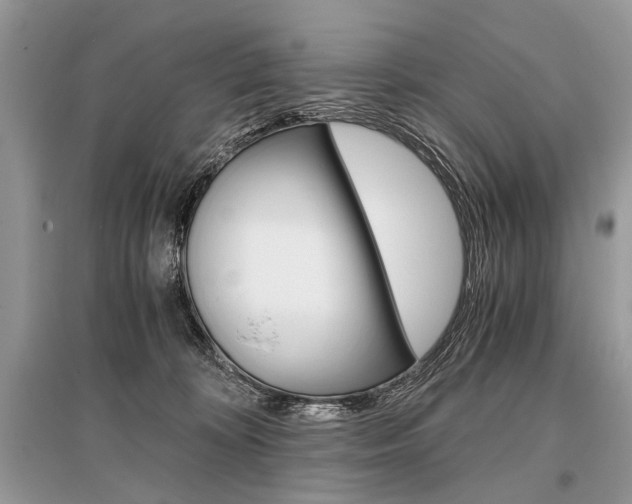X0000096380324200801241009