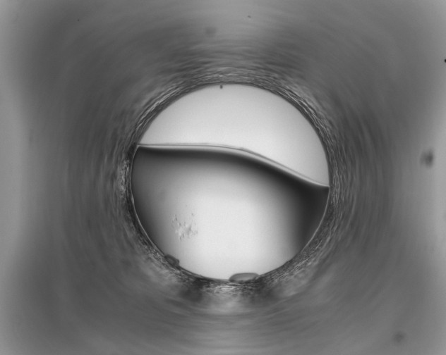 X0000096380325200801241009