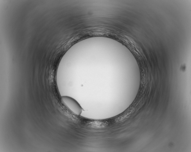 X0000096380326200801241009