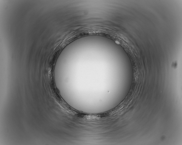 X0000096380327200801241009