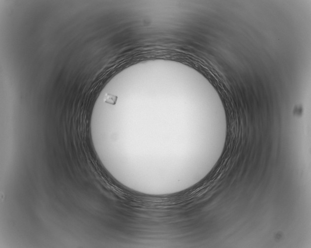 X0000096380328200801241009