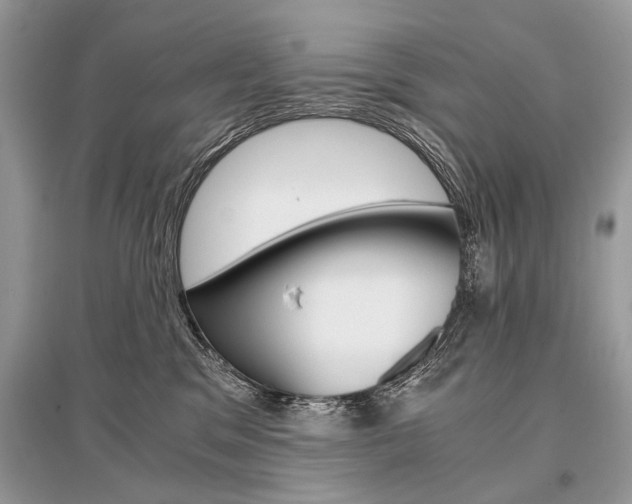 X0000096380329200801241009