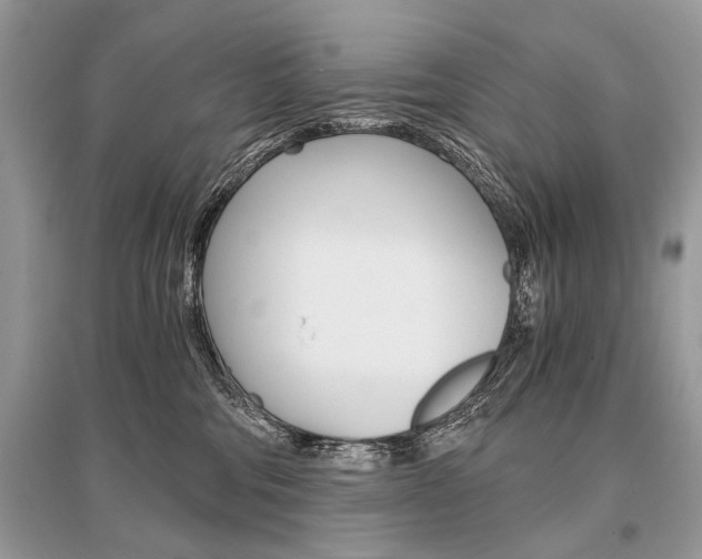 X0000096380330200801241009