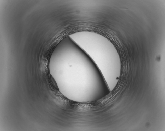 X0000096380332200801241009