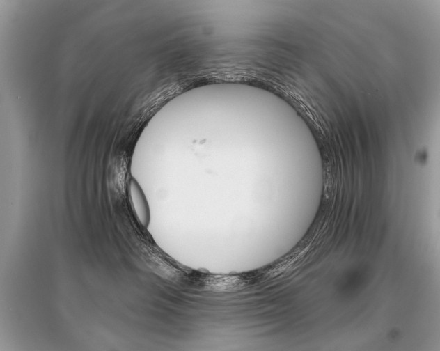 X0000096380334200801241009