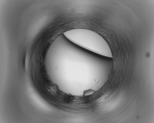 X0000096380335200801241009