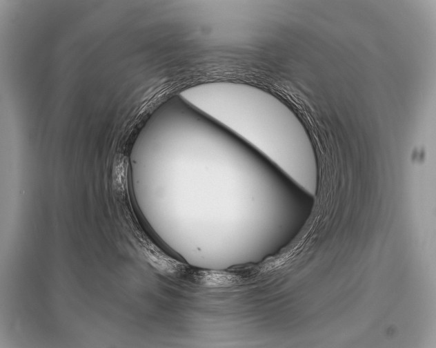 X0000096380336200801241009
