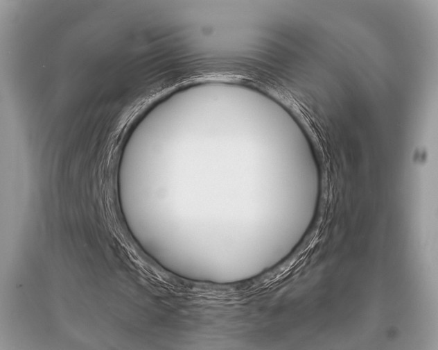 X0000096380337200801241008