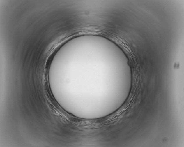 X0000096380338200801241008
