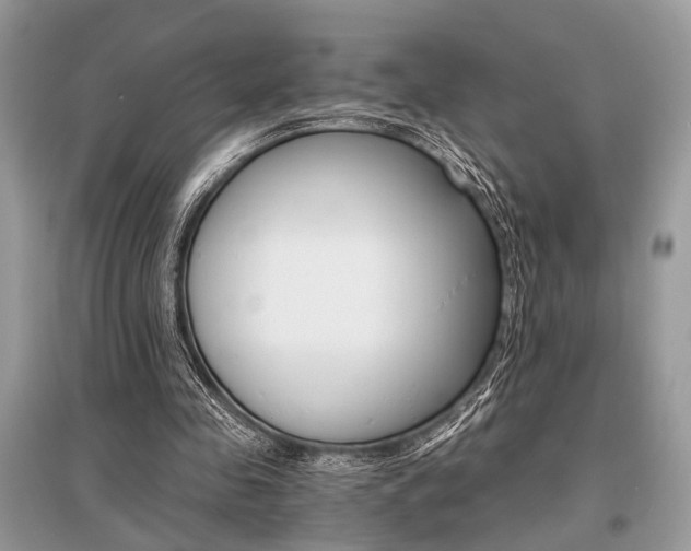 X0000096380341200801241008