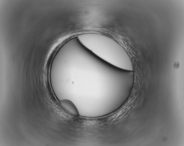 X0000096380342200801241008
