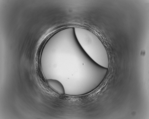 X0000096380343200801241008
