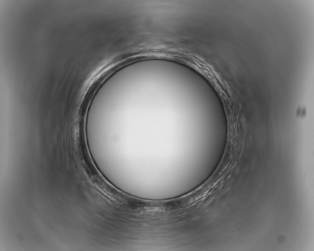 X0000096380344200801241008