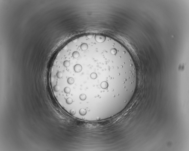 X0000096380346200801241009