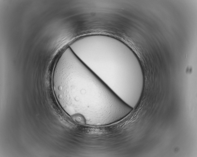 X0000096380347200801241009