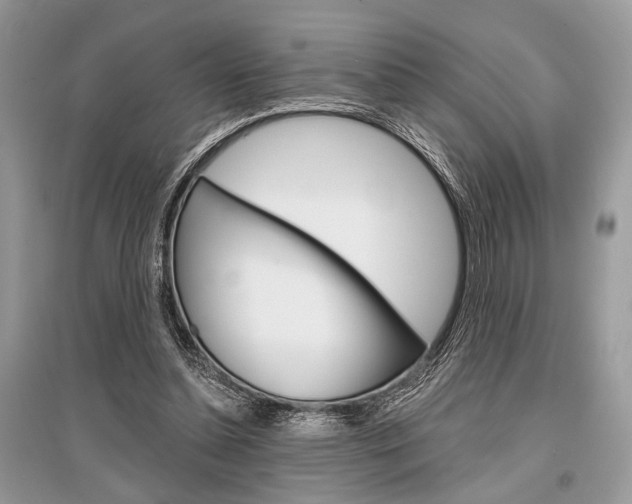 X0000096380348200801241009