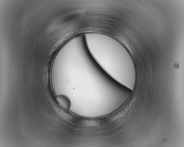 X0000096380349200801241009