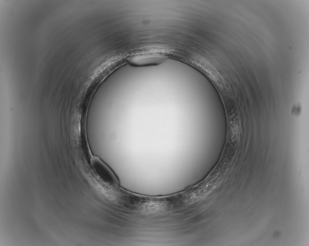 X0000096380350200801241009