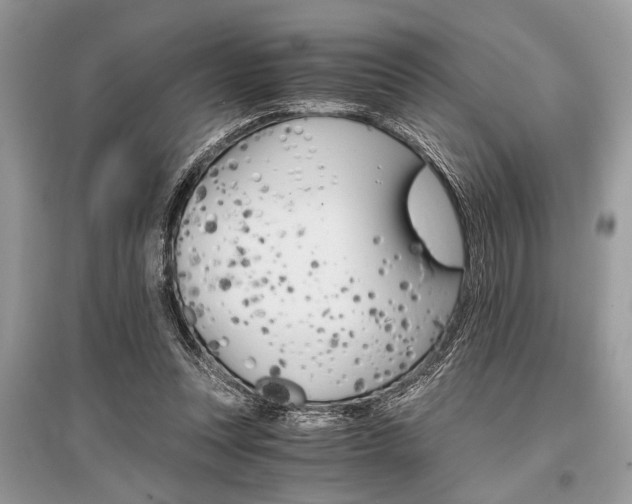 X0000096380351200801241009