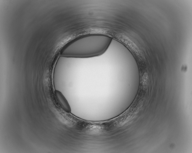 X0000096380352200801241009