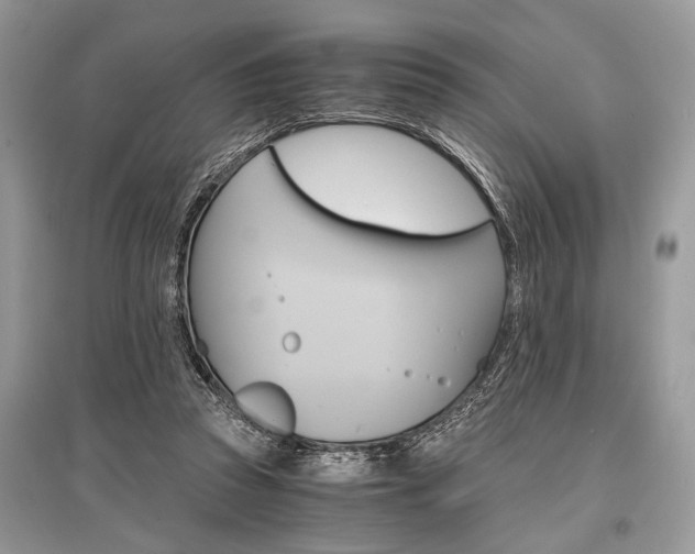 X0000096380353200801241009