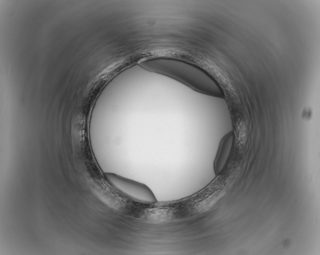 X0000096380356200801241009