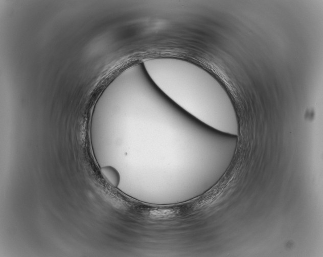 X0000096380357200801241009