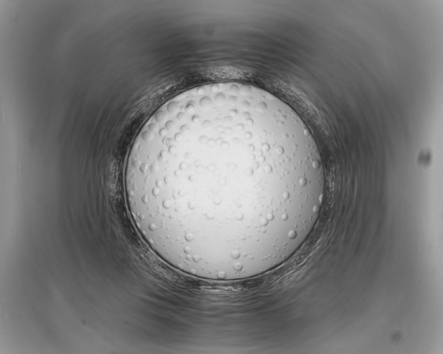 X0000096380359200801241009