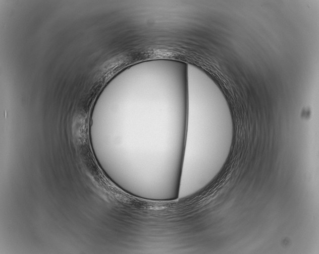 X0000096380360200801241009