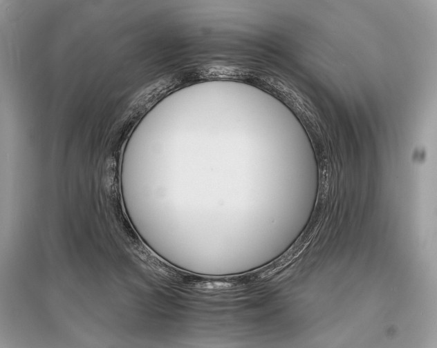 X0000096380361200801241009