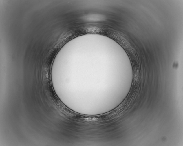 X0000096380363200801241009