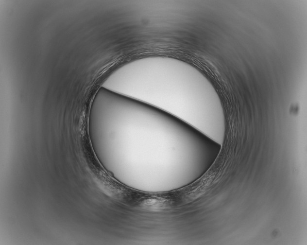 X0000096380364200801241009