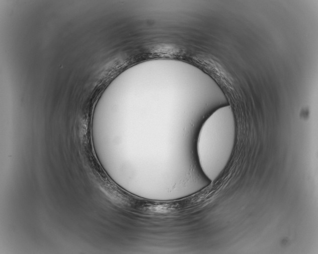 X0000096380365200801241009