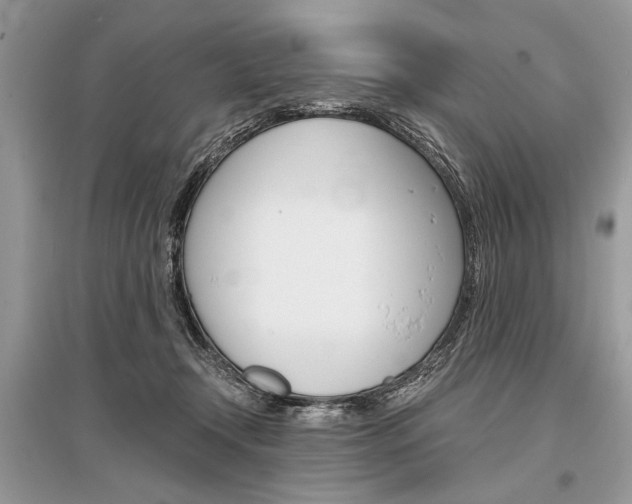 X0000096380366200801241009