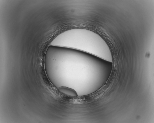 X0000096380368200801241009