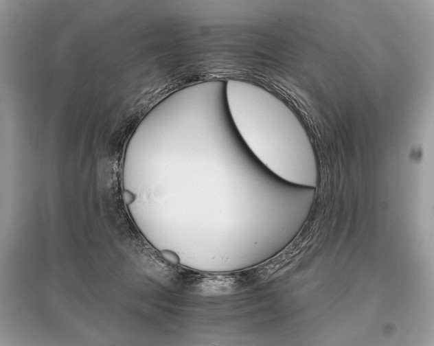 X0000096380369200801241009