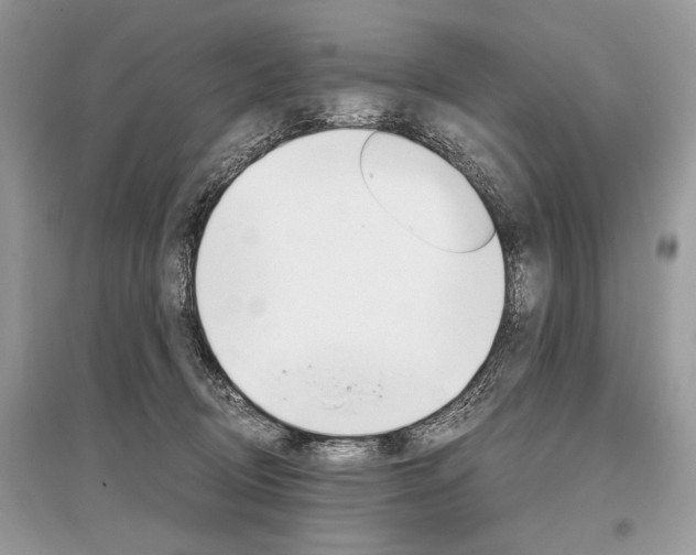 X0000096380370200801241009