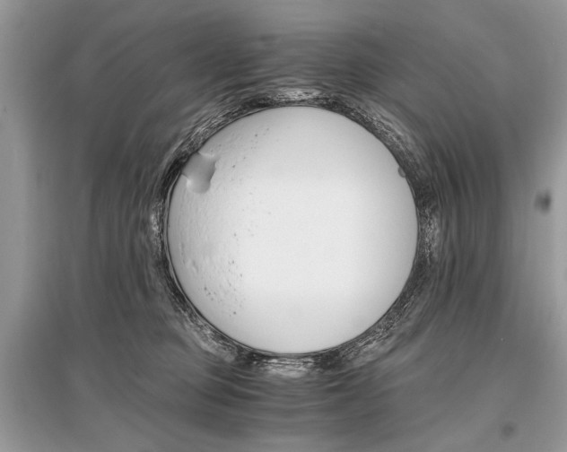 X0000096380373200801241009