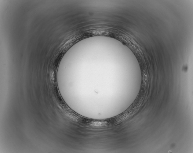 X0000096380375200801241009