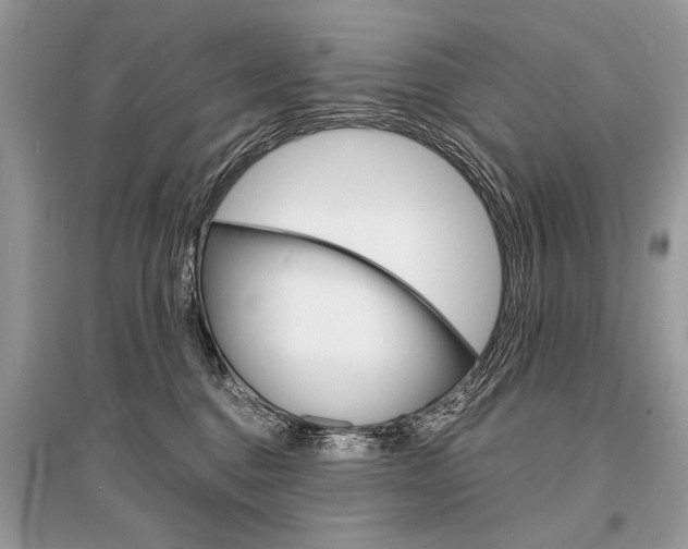 X0000096380376200801241009
