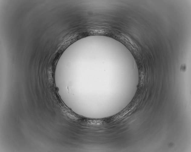 X0000096380377200801241009