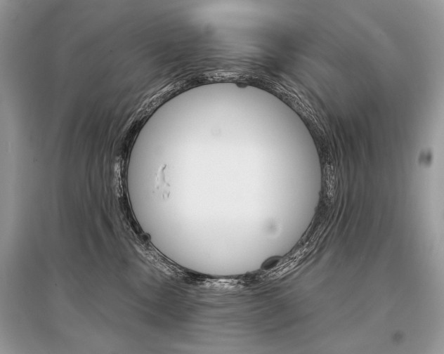 X0000096380378200801241009