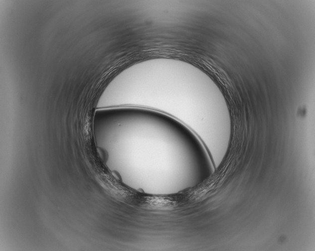 X0000096380380200801241009