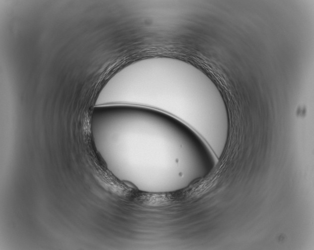 X0000096380384200801241009
