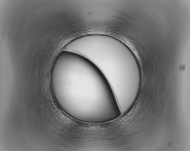 X0000096380385200801241008