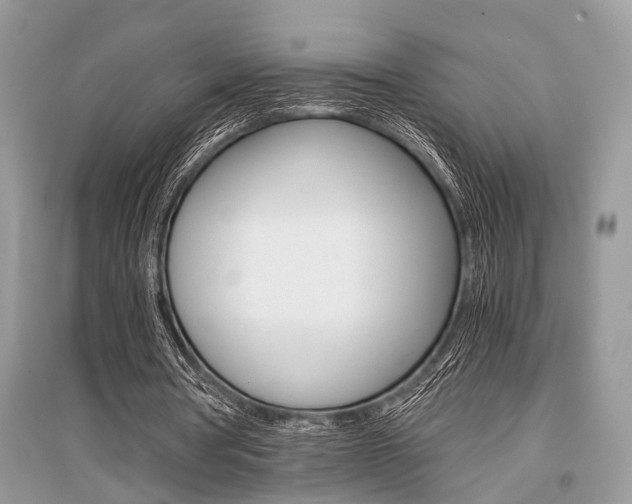X0000096380386200801241008