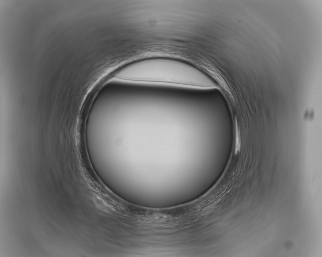 X0000096380387200801241008