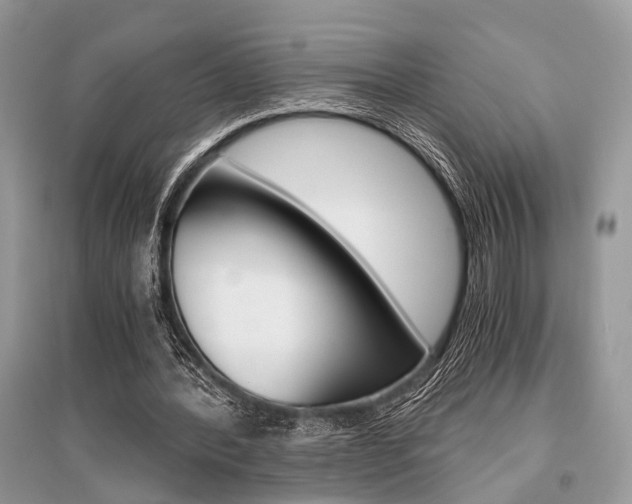 X0000096380388200801241008