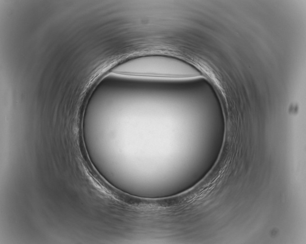 X0000096380389200801241008