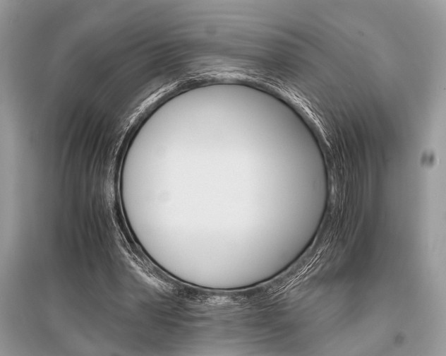 X0000096380390200801241008